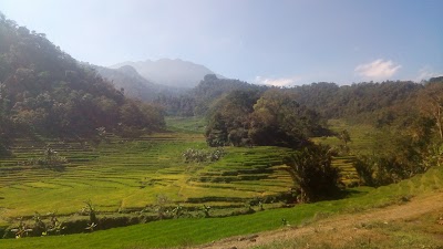 Photos of lapangan desa Pakis