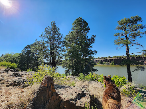 Fool Hollow Lake Recreation Area Campground - Thumbnail