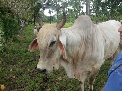 Photos of Finca URIEL MORA