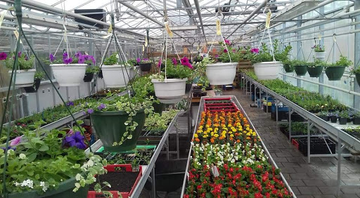 De Trans - Het Tuinhuis Gallery - Netherlands