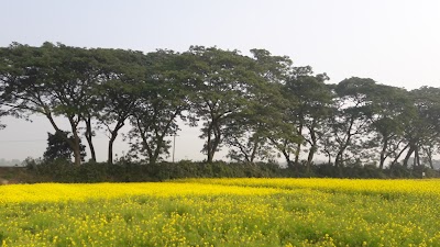 Photos of Jhaubadha Bus Stand