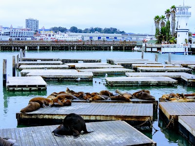 The Flyer- San Francisco