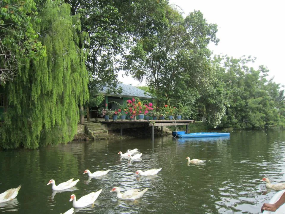 Lake View Farmstay