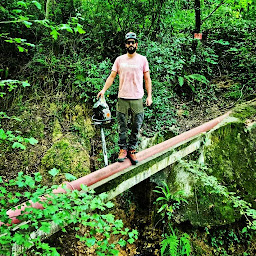 Photo n°17 de Maîtrise Elagage à Libourne (Service d'élagage)