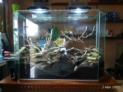 Photos of Gisella store jaya