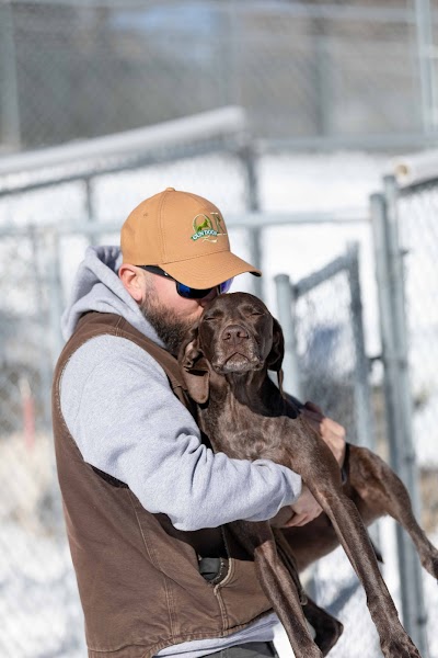 Quinebaug Kennels: QK Dogs