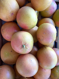 Photo n°14 de Grandi Producteur fruits et legumes à San-Nicolao (Maraîcher)