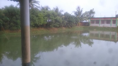Photos of Jessore Benapole and Satkhira Bus Stop