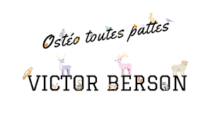 Photo n°12 de Victor Berson - Ostéopathe animalier à Saint-Maurice (Ostéopathe)