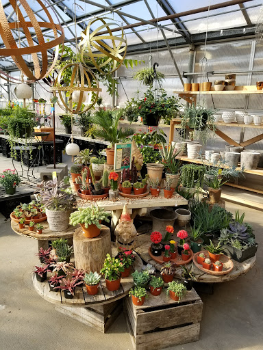 Bittersweet Flower Market - Thumbnail