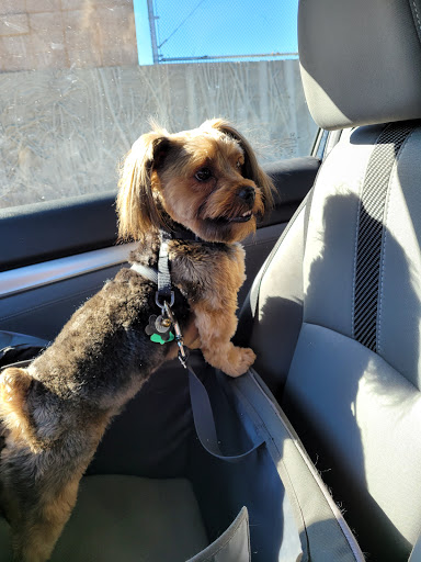 Pooch N Purr Gallery - United States