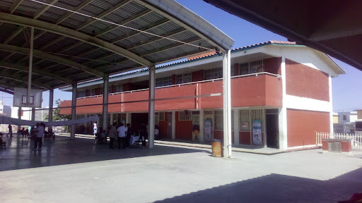 Mariano Abasolo School - Thumbnail