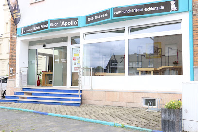Hundefriseur Salon Apollo & Groomerschule