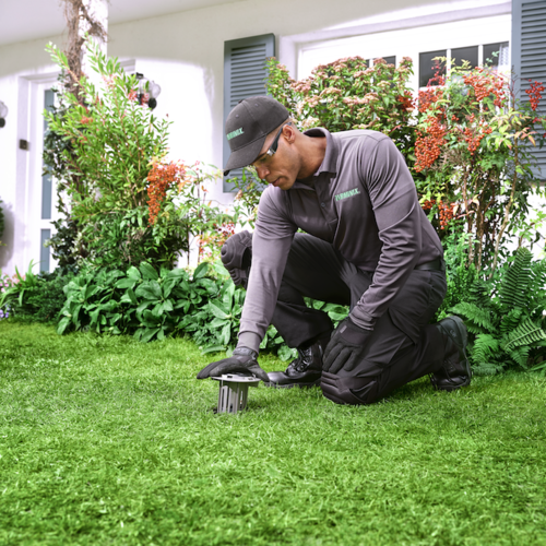 Terminix Commercial storefront and entrance in St. Augustine