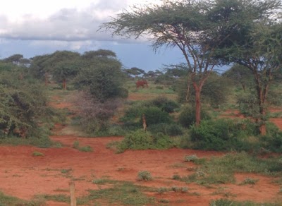 Photos of Lake Jipe Campsite