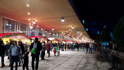 Photos of Rashid Karami Stadium