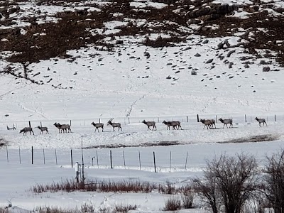 Hardware Ranch WMA