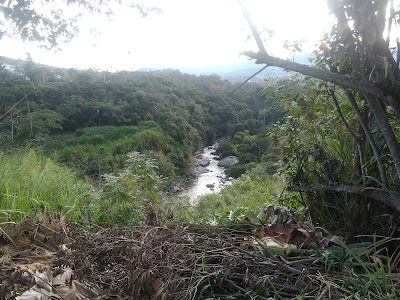 Photos of Club el Bosque