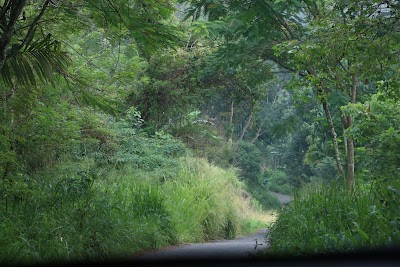 Photos of Dawatagas kotasa ,Doragala