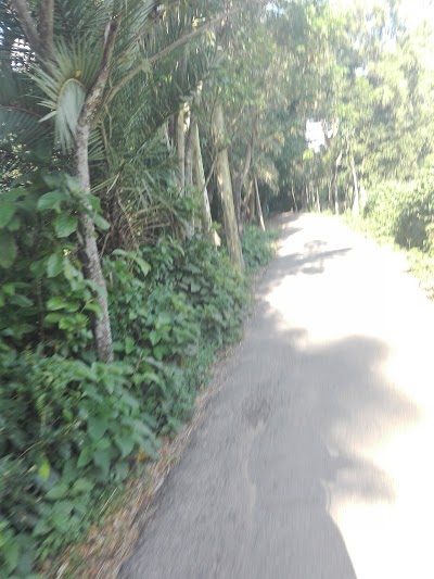 Photos of দূর্গাপুর সার্বজনীন কালী মন্দির
