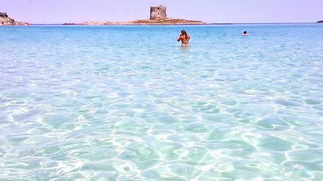 Spiaggia della Pelosetta