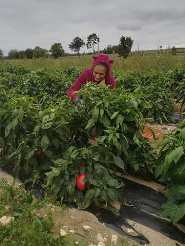 Godziny otwarcia Vegetables