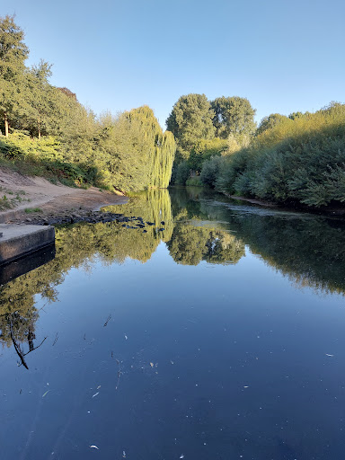Planwiese - Thumbnail