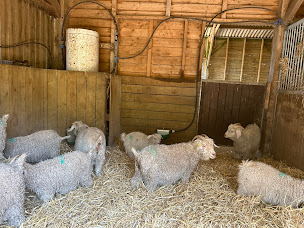 Photo n°25 de Wahie Concept à Châtillon-sur-Loire (Fabricant d'abris voiture et de pergolas)