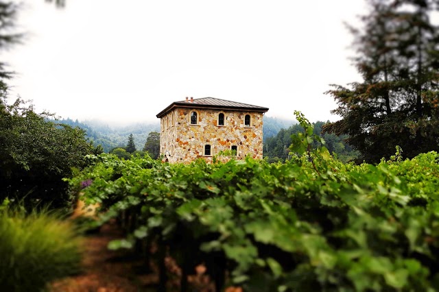 Anomaly Vineyards