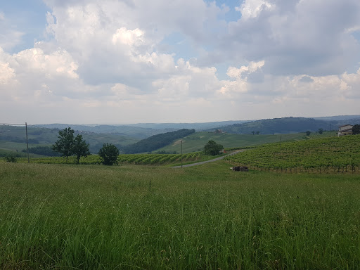 La Piotta - Azienda Agricola Padroggi Luigi & Figli - Thumbnail