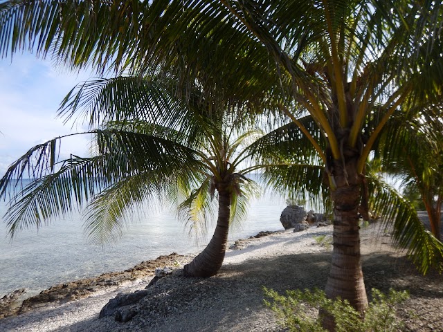 Îles Tuamotu