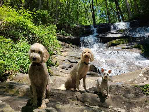 Lower Emery Creek Falls - Thumbnail