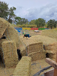 Photo n°29 de FERME DE PADULA à Porto-Vecchio (Crêperie)