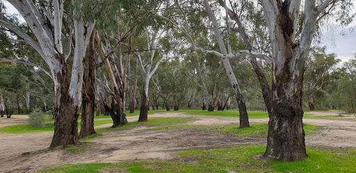 Mulwala campground - Thumbnail