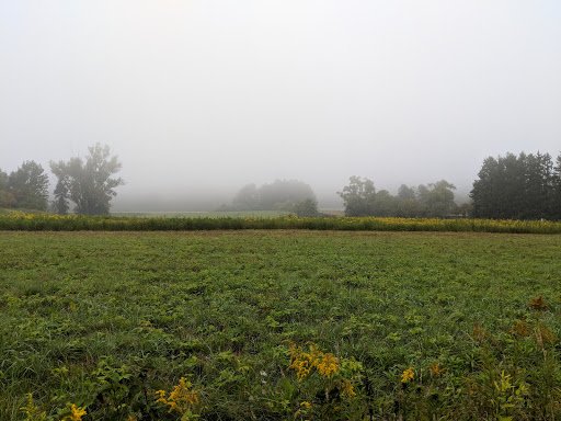 University Farm - Thumbnail