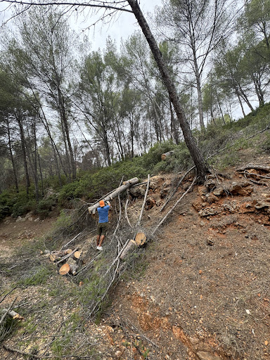 Photo de PAYSAGISTE BANDOL à Bandol (83150)
