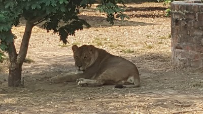 Photos of zoologique Garden