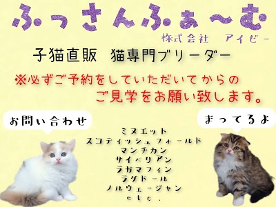 猫ブリーダーIVY ふっさんふぁーむ