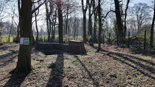 Départemental des Hautois Woods - Thumbnail
