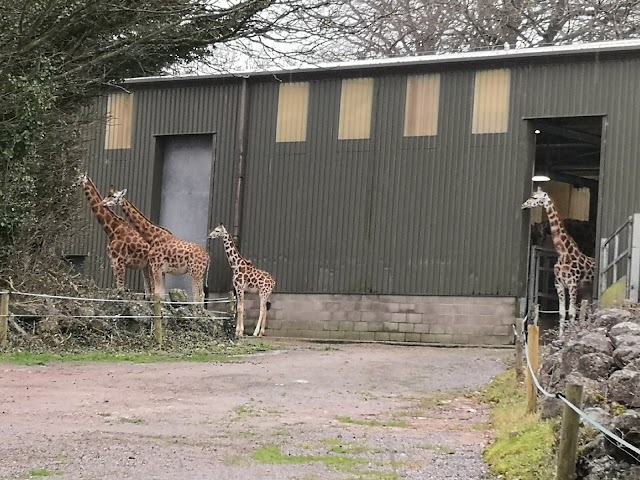 Paignton Zoo Environmental Park