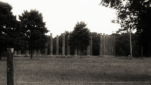 Forks of Cypress - Thumbnail