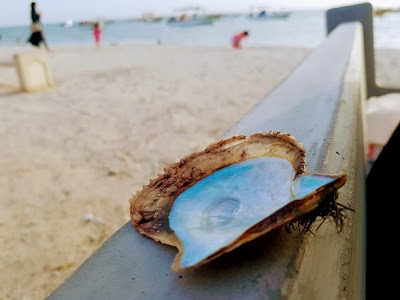 Photos of Playground and Walking Area of Malkiyah Beach