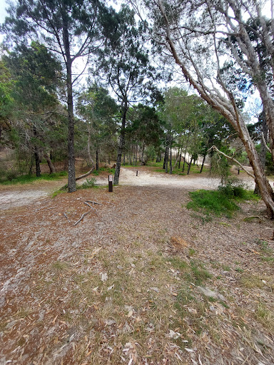 Minjerribah Camping - Flinders Area D Gallery - Australia