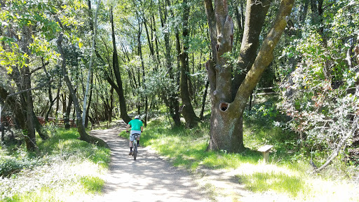 Back Ranch Meadows Campground Gallery - United States