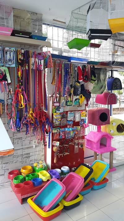 Bykuş Petshop