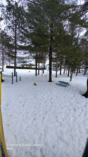 Parc Lamy - Visual