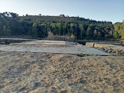 Photos of Parc Djebel El Ouahch