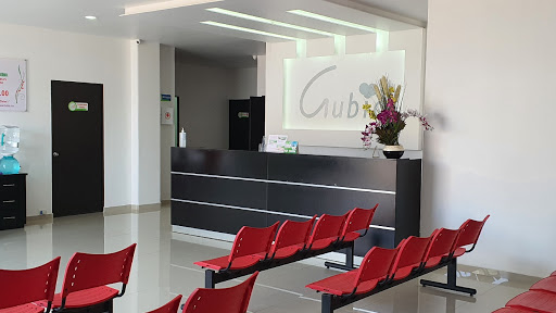 GUBIA DIAGNOSTICO ESPECIALIZADO