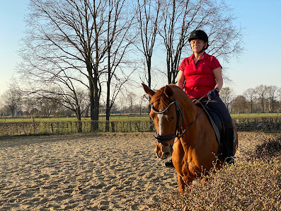 Reitsattel