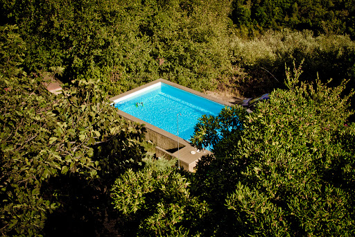 L`Orsinghi Podere - Thumbnail
